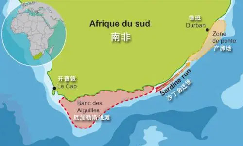 出口中國的機遇如何拉動南非經濟增長 出口中國的機遇如何拉動南非經濟增長
