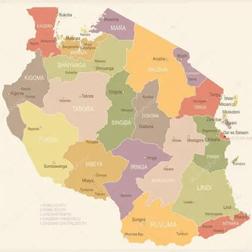 坦桑尼亞海運專線