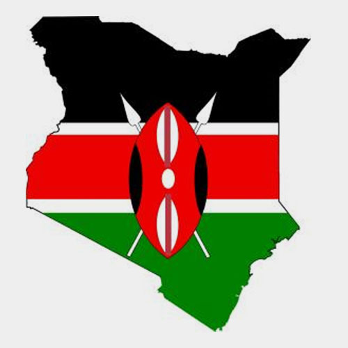 肯尼亞空運專線